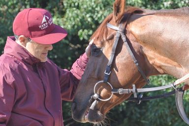 Harraton Court Stables Tour for Two with Darryll Holland