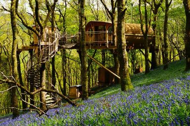 Two Night Tree House Escape for 2