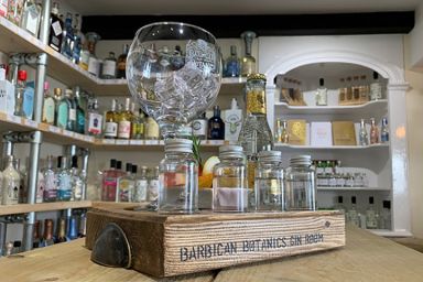 Gin Room Connoisseur Masterclass for Two at Barbican Botanics