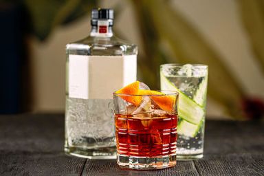 Self-Guided Gin Or Rum Tasting Flight at Barbican Botanics