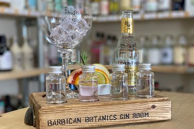 Premium Gin Room Connoisseur Masterclass for Two at Barbican Botanics