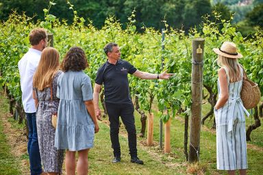 Tour and Tasting for Two at Chapel Down Vineyard