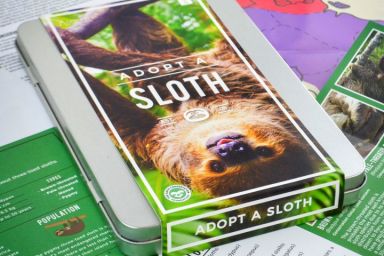 Adopt a Sloth