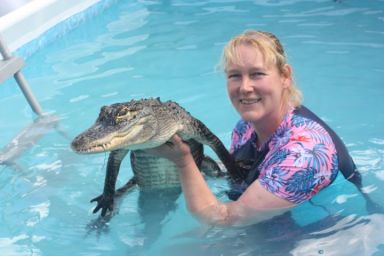 Swim with the Crocodiles for Two