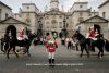 Household Cavalry Museum & Lunch for Two at The Royal Horseguards Hotel