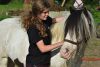 Pony Care Experience for Two at The Ancient Trails Company 