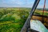 Wild Pig Hot Air Balloon Flight with Champagne - Anyday for One Person