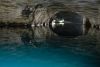 Go Below Challenge