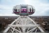 Family Entrance to the London Eye & 2 course meal at Las Iguanas