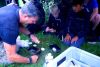 Junior Outdoor Survival Experience