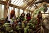 Warner Bros. Studio Tour London for Two & Two Night Stay with Dinner