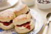 Dog Friendly Afternoon Tea for Two