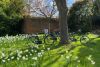Windsor Castle Bike Tour for Two