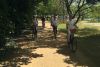 Hampton Court Bike Tour for 2