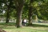 Hampton Court Bike Tour for 2