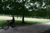 Hampton Court Bike Tour for 2