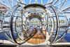 Thames RIB Boat Trip and a Ride on the London Eye for Two