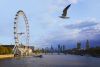 Entrance to the London Eye & 2 course meal at Las Iguanas for Two