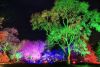 Entrance to RHS Glow at RHS Wisley for Two