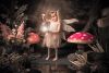 Enchanted Fairy & Elf Photoshoot