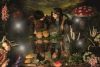 Enchanted Fairy & Elf Photoshoot