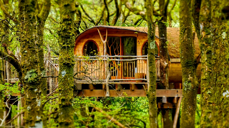 Two Night Tree House Escape for 2