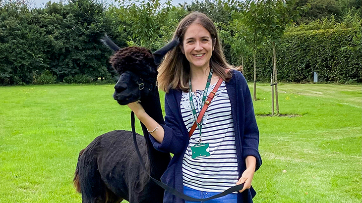 Family Meet & Greet with the Alpacas