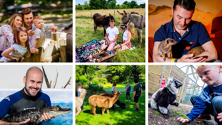 Family Animal Experiences