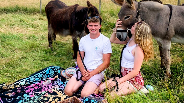 Donkey Picnic