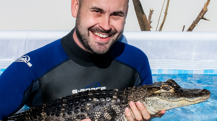 Crocodile
