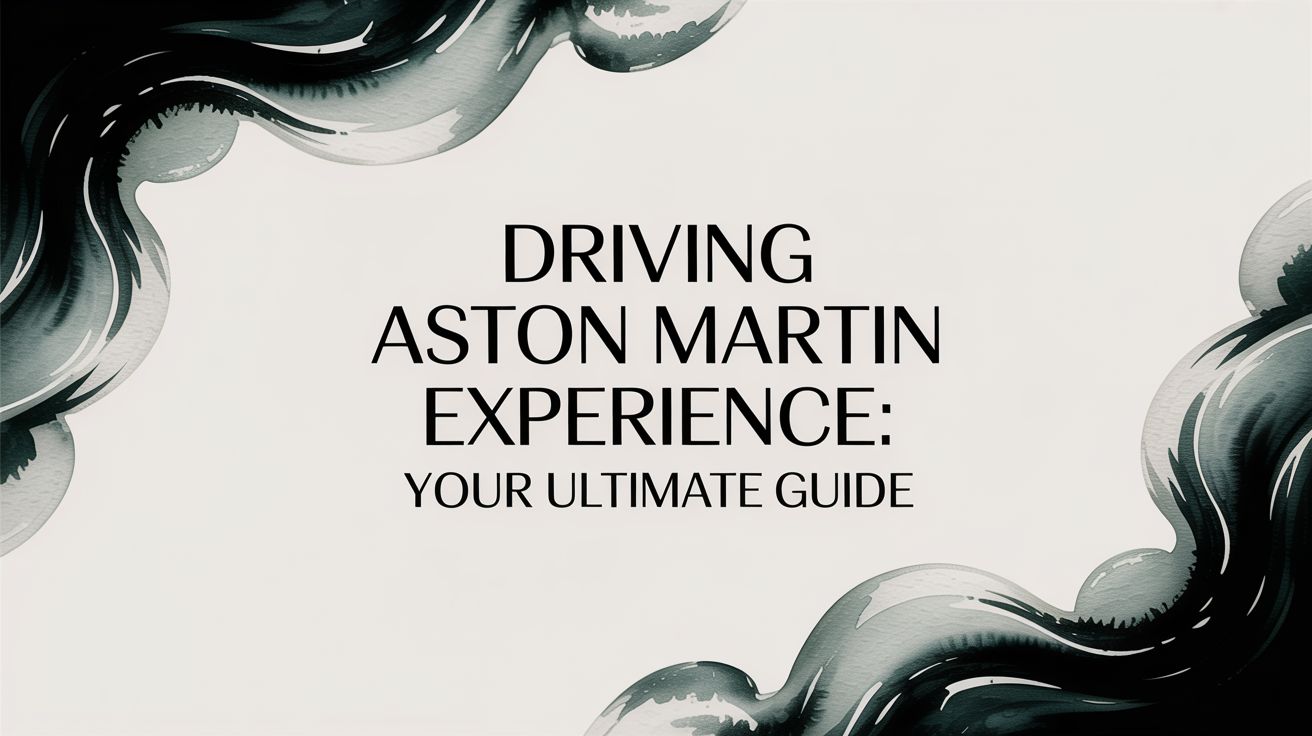 Driving Aston Martin Experience: Your Ultimate Guide