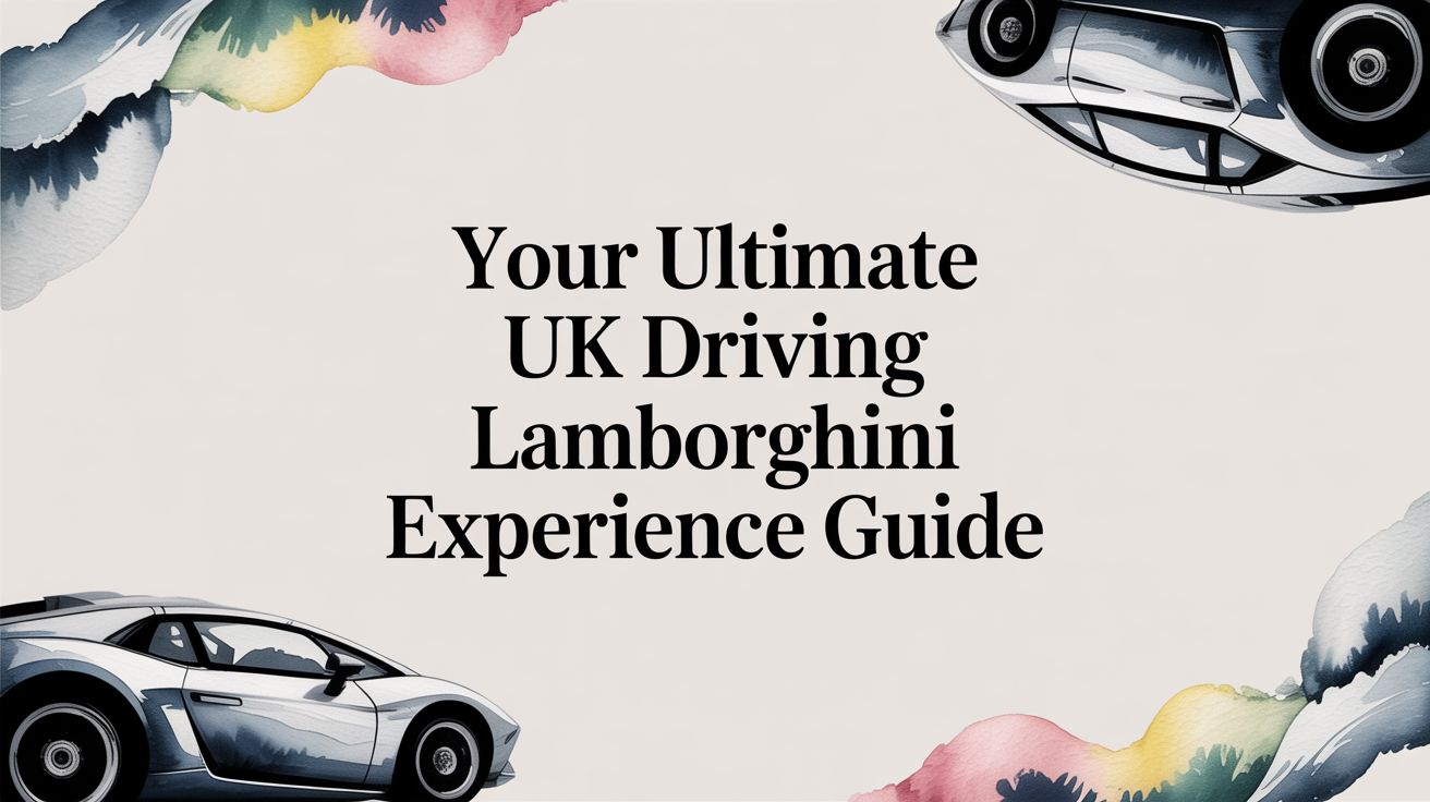 Your Ultimate UK driving lamborghini experience Guide