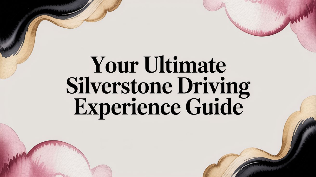 Your Ultimate Silverstone Driving Experience Guide