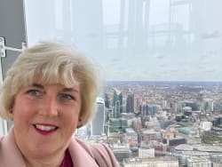 Shard viewing gallery